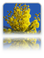 collage image title