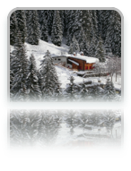 collage image title