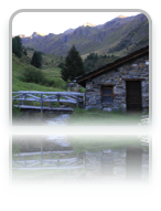 collage image title