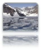 collage image title