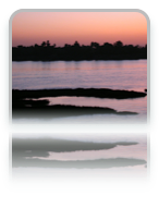 collage image title