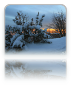 collage image title