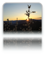 collage image title